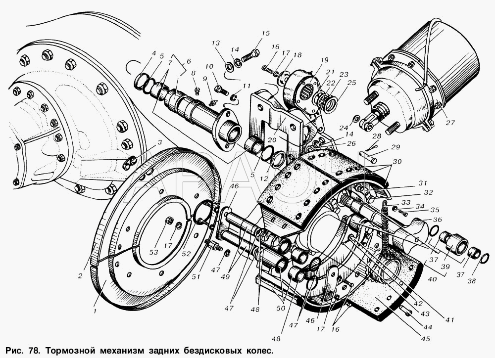 Тормозной механизм задних бездисковых колес МАЗ-6303