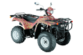 Квадроцикл LF-250ST–2