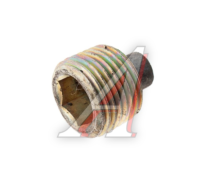 Пробка ГАЗ-3302,ГАЗель Next,ГАЗон Next КПП и РЗМ магнитная (ОАО ГАЗ)